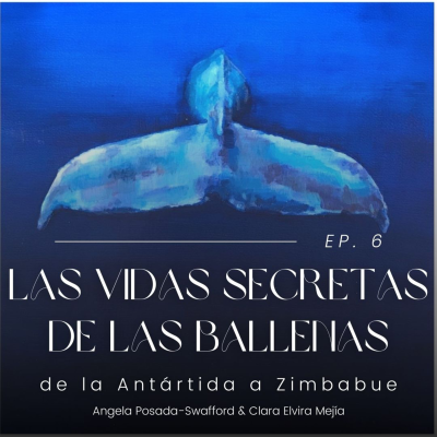 episode Las vidas secretas de las ballenas artwork