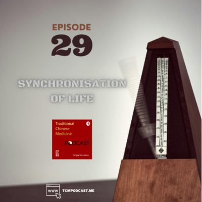 episode Synchronisation of Life artwork