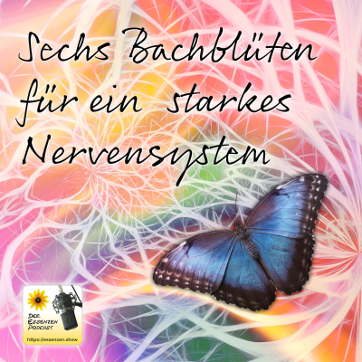 episode Sechs Bachblüten für ein starkes Nervensystem artwork