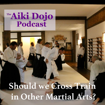 episode Should we Cross Train in Other Martial Arts? artwork