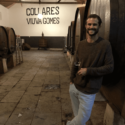 episode Visiting Viuva Gomes with Diogo Baeta, in Colares, Portugal - one of the world smallest wine appellation artwork