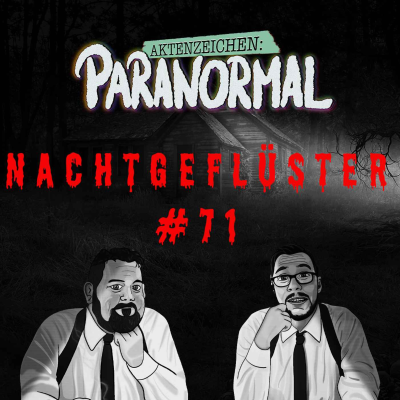 episode Aktenzeichen Nachtgeflüster #71: Erlebnisse der Community artwork