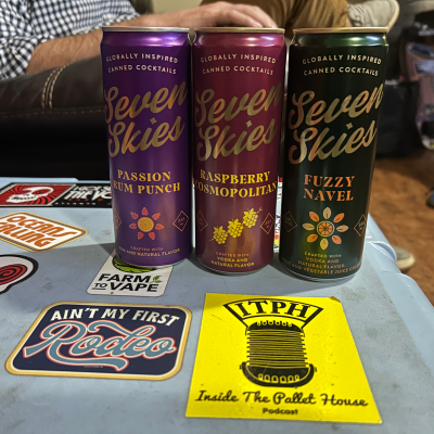 episode Seven Skies in the House artwork