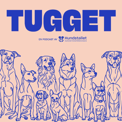 episode Tugget – Trailer artwork