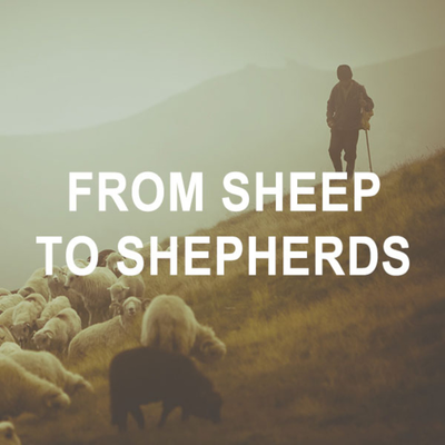episode From Sheep to Shephards artwork