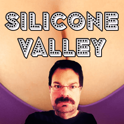 episode 2. Silicone Valley artwork
