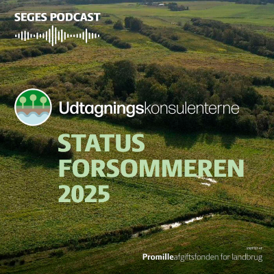 episode Udtagningskonsulenterne: status i forsommeren 25 artwork