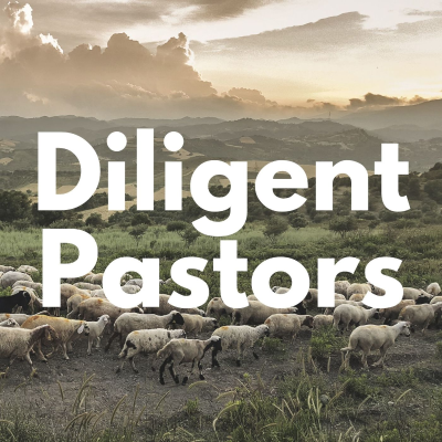 Diligent Pastors