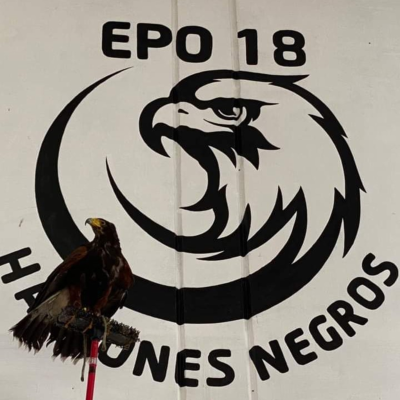 episode percepción, adaptación y restos que implica la nueva normalidad. artwork