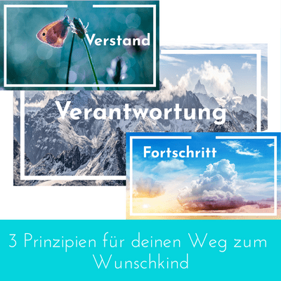 episode Der Weg zum Wunschkind - achte auf diese 3 Prinzipien! artwork