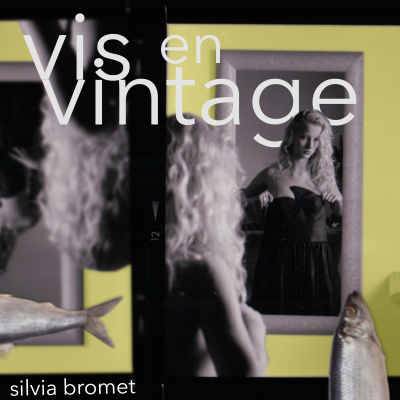 episode Aflevering 4 - Vishandel Julianaweg Volendam artwork