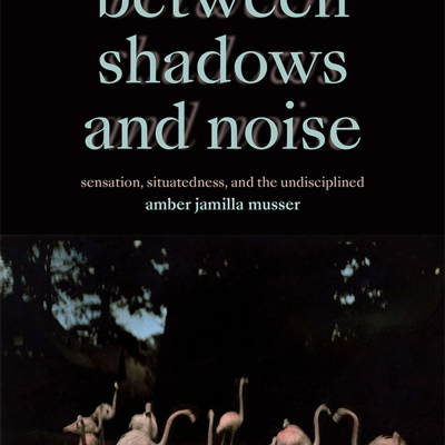 episode Amber Jamilla Musser on Between Shadows and Noise: Sensation, Situatedness, and the Undisciplined artwork