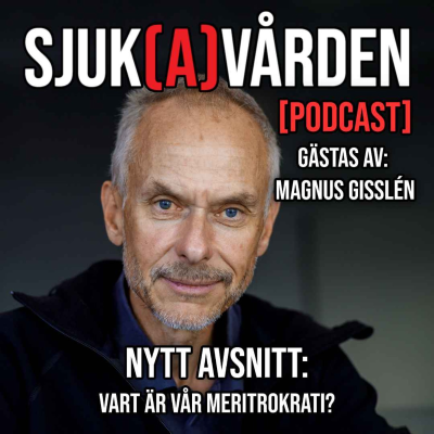 episode #29 - Magnus Gisslén om vår förlorade meritokrati artwork