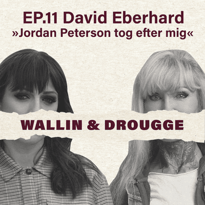 episode #11 David Eberhard: "Jordan Peterson tog efter mig" artwork