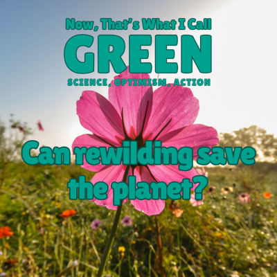 episode Can Rewilding Save the Planet? Wolves, Wildflowers & “Going Feral?”... artwork