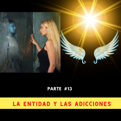 episode Parte 13: LA ENTIEDAD Y LAS ADICCIONES artwork