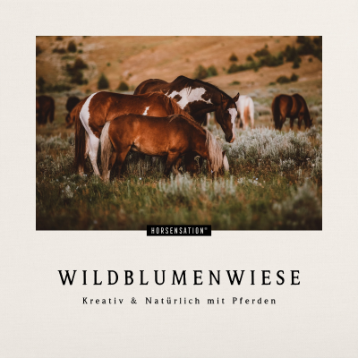 Wildblumenwiese - Ein Pferdepodcast