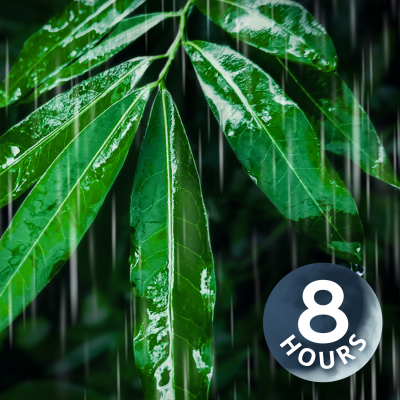 episode Rain Sounds for Peaceful Sleep | 8 Hours artwork
