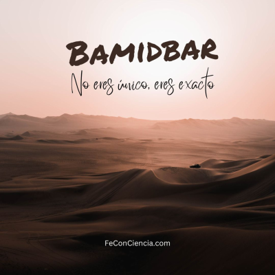 episode Bamidbar -No Eres Único, Eres Exacto artwork