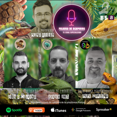 episode B5a Reptiles, dignificados por la Ley de Bienestar Animal. (Primera parte) artwork