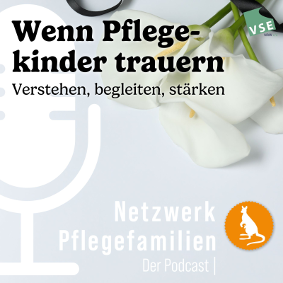 episode Wenn Pflegekinder trauern – Verstehen, begleiten, stärken artwork