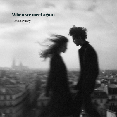 episode When We Meet Again artwork