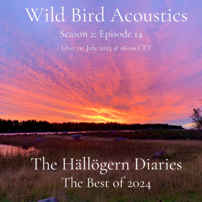 episode The Hällögern Diaries; The Best of 2024 artwork