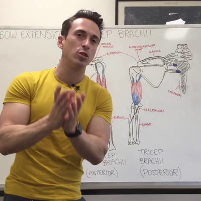 episode Triceps Extension | Functional Anatomy artwork