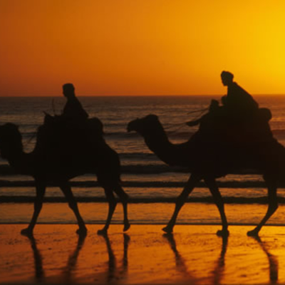 episode House From Agadir #31 / SUMMER TIME- sea sex and sun artwork