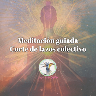 episode Meditación: Corte de lazos colectivo artwork
