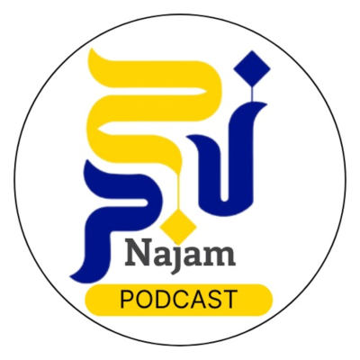 Najam Institute