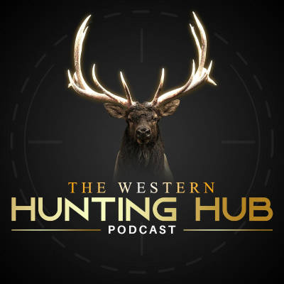 episode 206 - Effects of a Pinnacle Hunt artwork