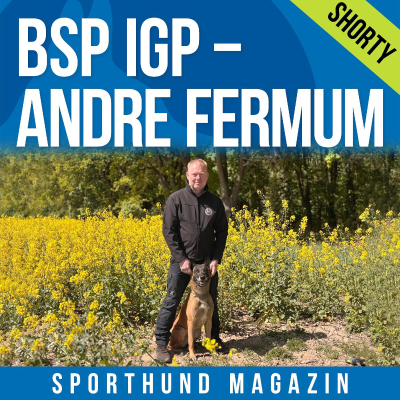 episode Shorty: BSP IGP – Andre Fermum artwork