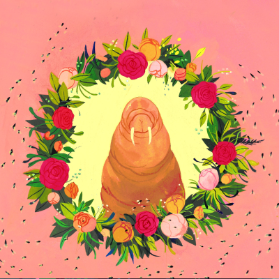 episode Maggies: The Healing Power of Baby Flies artwork