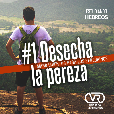 episode Desecha la PEREZA artwork