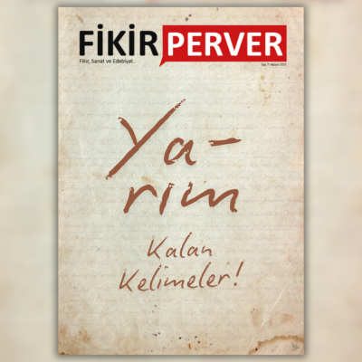 episode Dökülüp Saçılanlar | Fikirperver Dergi 71. Sayı | Şehnaz Orhan artwork