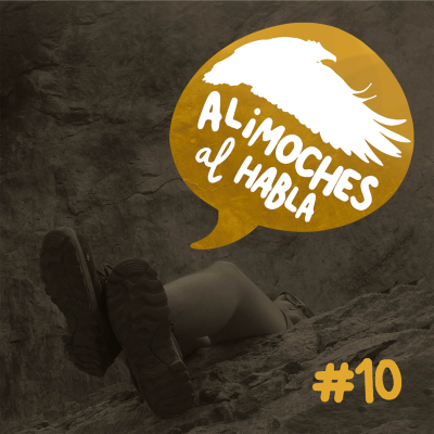 episode Déjalo para luego #10 artwork