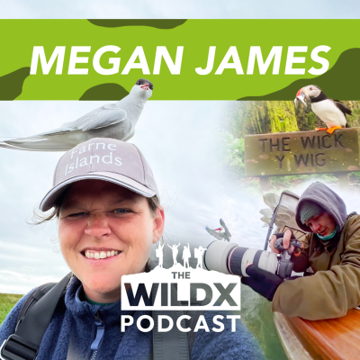 episode Episode 33 - MEGAN JAMES - WILDLIFE PHOTOGRAPHY & CONTENT CREATOR EXTRAORDINAIRE artwork