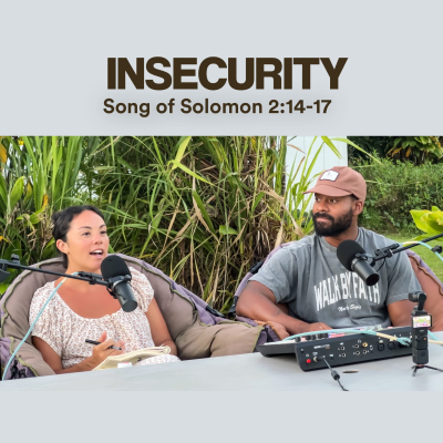 episode Insecurity artwork